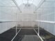 Solexx Gardner's Oasis Greenhouse