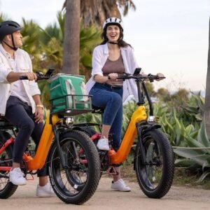 Heybike Horizon-Combo