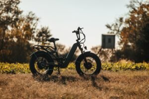 Rambo Revolt AWD Step Thru Bike