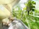4-Season DELUXE Glamping Package Dome - 16'/5m - Phoenix Domes