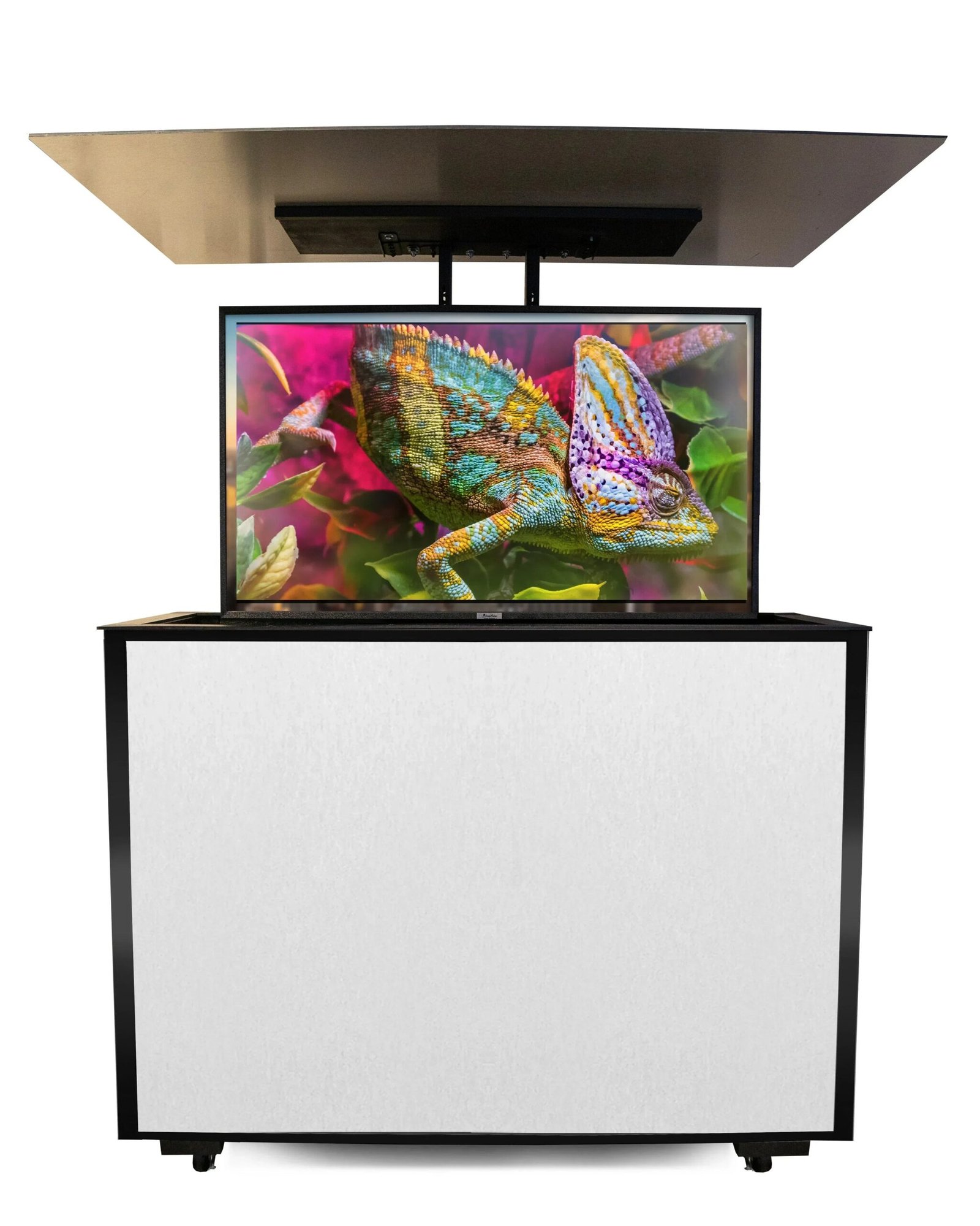 4_BLACK-WHITE_copy_65e8d6bc-2faf-4fe7-9ac8-413e44126fd3-1.jpg MirageVision 55" Outdoor TV Premium Lift Cabinet - Image 1