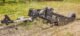 Swisher Commercial Pro Grader