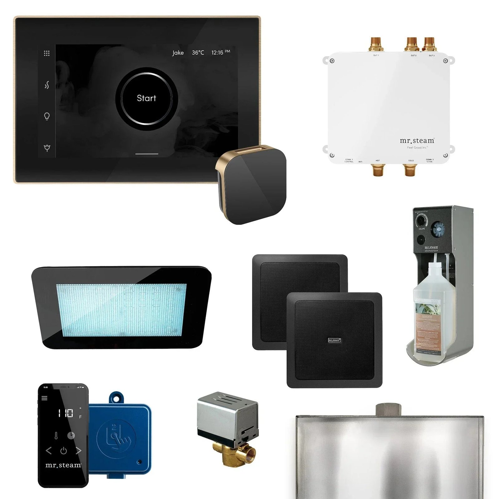 BLS-BKBB.jpg Mr. Steam Bliss Programmable Steam Generator Control Kit with iSteamX Control and Aroma Glass Steamhead