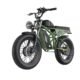 Freego Shotgun Flash F3 Pro Max Premium Electric Bike