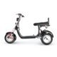 LinksEride CP7 DUAL MOTOR 2000W 60V 20Ah Electric Scooter Trike