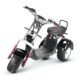 LinksEride CP7 DUAL MOTOR 2000W 60V 20Ah Electric Scooter Trike