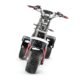 LinksEride CP7 DUAL MOTOR 2000W 60V 20Ah Electric Scooter Trike