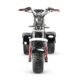 LinksEride CP7 DUAL MOTOR 2000W 60V 20Ah Electric Scooter Trike