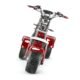 LinksEride CP7 DUAL MOTOR 2000W 60V 20Ah Electric Scooter Trike