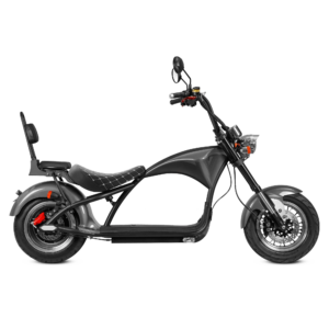Eahora Two-seat M1P - Black