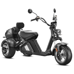 Eahora M2 Trike - Black