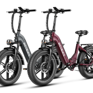 Heybike Ranger S 1000W Combo