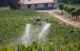 ABZ Innovation L10 Pro Spraying Drone