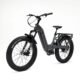Bakcou Flatlander SD Electric Bike
