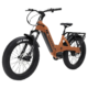 Bakcou Flatlander SD Electric Bike