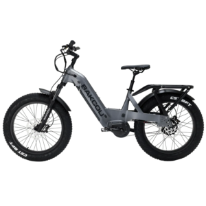 Bakcou Flatlander SD Electric Bike