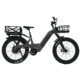 Bakcou Flatlander SD Electric Bike