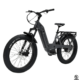 Bakcou Flatlander SD Electric Bike