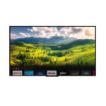 Gold Series - MirageVision Partial Sun Outdoor TV