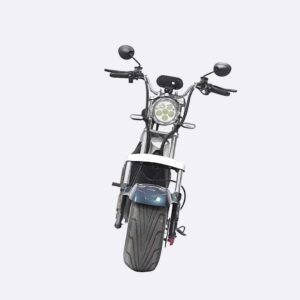 LinksEride CP1.1 2000W 60V 20Ah DUAL BATTERY 2 SEATER Electric Motorcycle Scooter