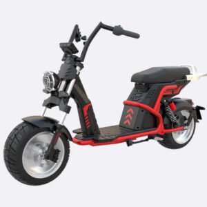 LinksEride CP9 Luxury Citycoco 4000W 60V 50Ah Fat Tire Lithium Electric Scooter