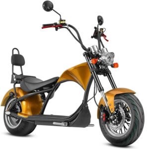 LinksEride M1 Citycoco 2 SEATER 2000W 60V 30Ah Fat Tire Lithium Electric Scooter
