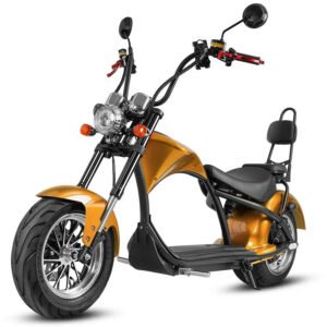 LinksEride M1 Citycoco 2 SEATER 2000W 60V 30Ah Fat Tire Lithium Electric Scooter