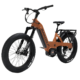 Bakcou Mule SD Electric Bike