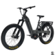 Bakcou Mule SD Electric Bike