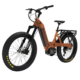Bakcou Mule SD Electric Bike