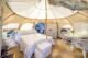 Teardrop Stargazer Glamping Tent - Phoenix Domes